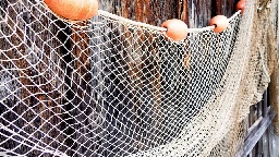 Net fishermen will face new restrictions